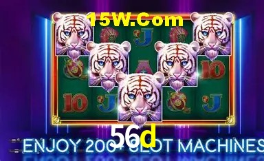 Experiência VIP 56d